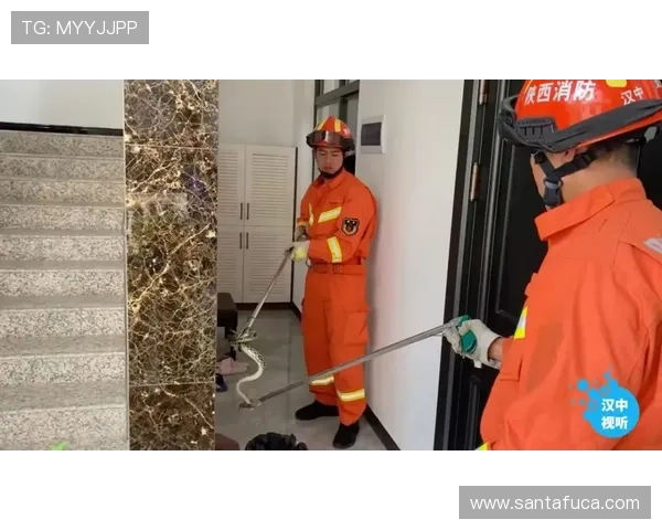 提升ag视讯注册安全性的有效策略全面解析账号安全防护措施