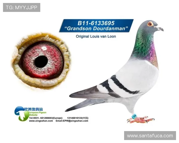 关注ag欧洲厅官网新闻，第一时间获取欧洲厅行业的最新资讯